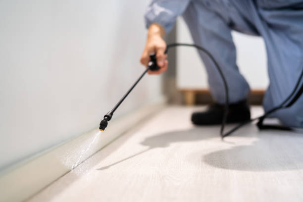 Licensed Rodent Control service in West Richland, WA - Nex Pest Control