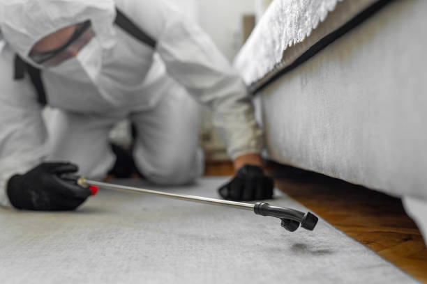 Professional Rodent Control technician working in West Richland, WA