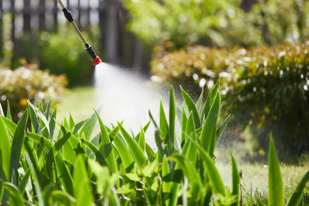 24/7 Emergency Rodent Control experts in West Richland, WA