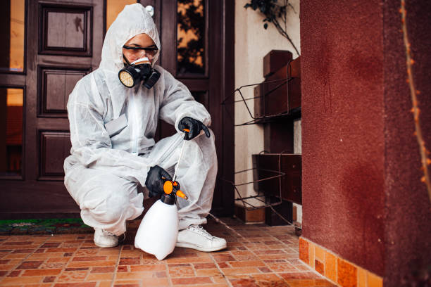 Reliable Rodent Control contractor in West Richland, WA by Nex Pest Control
