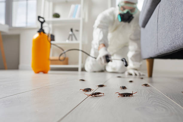 Trusted Rodent Control service in West Richland, WA - Nex Pest Control